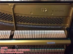 国产乐器示范曲大全视频,民族音乐瑰宝的视听盛宴