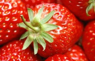 草莓视频国产天龙 央视,草莓视频与央视联手打造国产科幻巨作