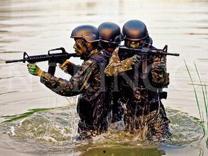 国产单兵装备视频,科技强军，守护和平