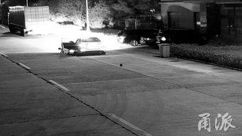 国产男士路边撒尿视频,国产男士路边撒尿事件引发热议