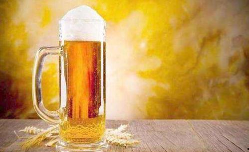 波兰人喝国产啤酒视频大全  第3张