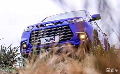 域虎9国产试驾视频  第2张