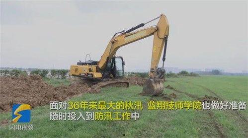 国产挖机伐树技术视频,高效环保的林业作业新篇章  第3张